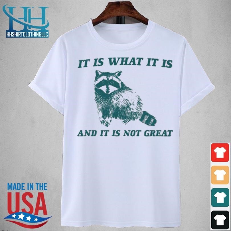Raccoon meme daily it is what it is and it is not great new 2023 shirt